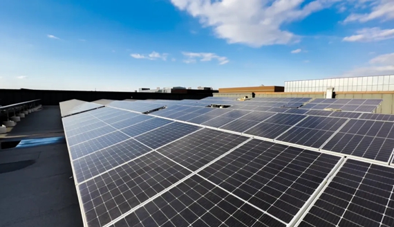 新會(huì)區(qū)3家企業(yè)榮獲“廣東省綠色工廠”稱號(hào)